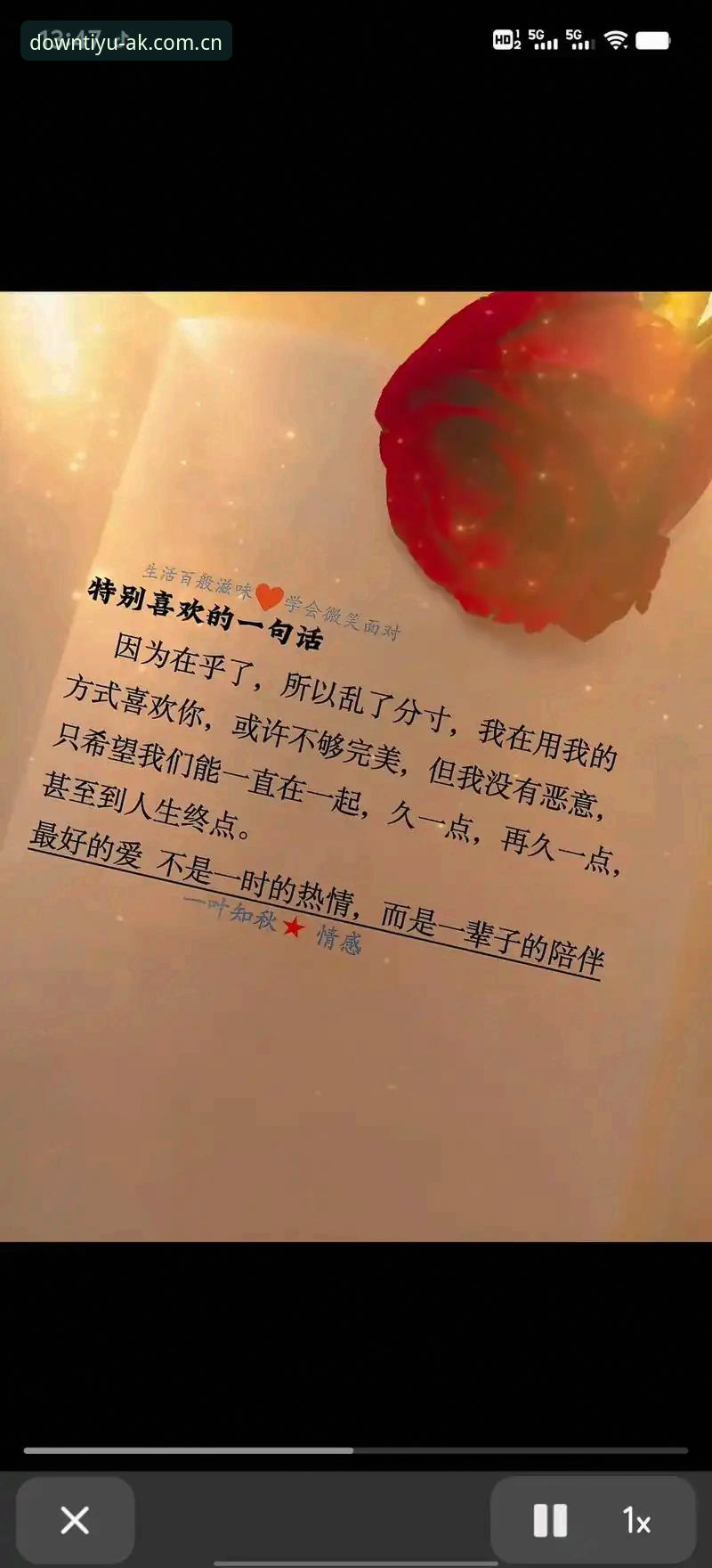 一张照片能装下多少种情绪？喜悦、意外、爱意，还有一场漫长等待后的释然。
